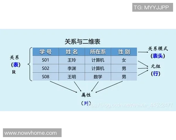 体育技术统计深度解析与应用探讨 从数据中挖掘竞技体育的内在规律与趋势