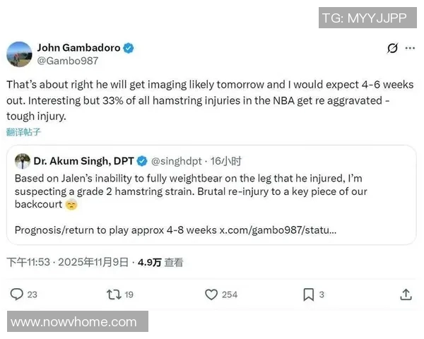 NBA球员伤病情况及复出前景